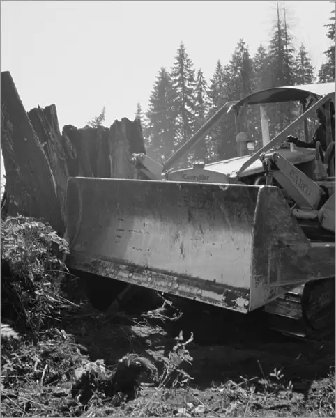 Possibly: Bulldozer... Nieman farm, near Vader, Lewis County, Western Washington, 1939. Creator: Dorothea Lange