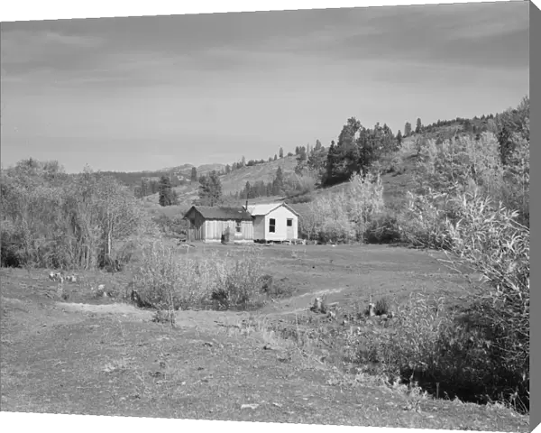 Home of Claude Kanady, president of the Ola self-help sawmill co-op, Gem County, Idaho, 1939. Creator: Dorothea Lange