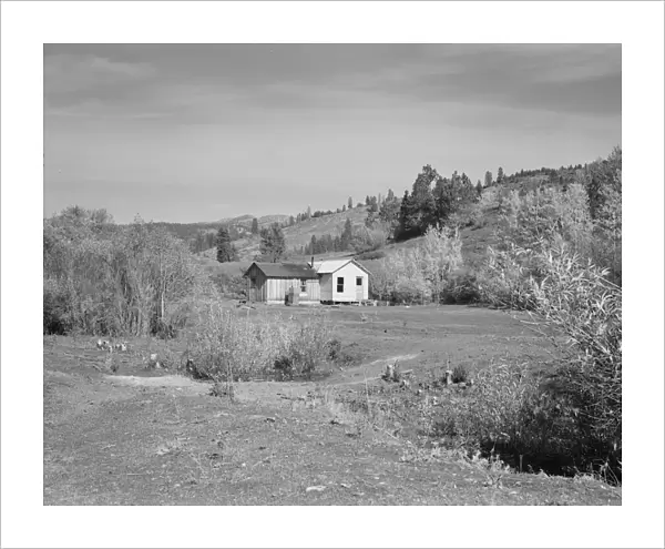Home of Claude Kanady, president of the Ola self-help sawmill co-op, Gem County, Idaho, 1939. Creator: Dorothea Lange