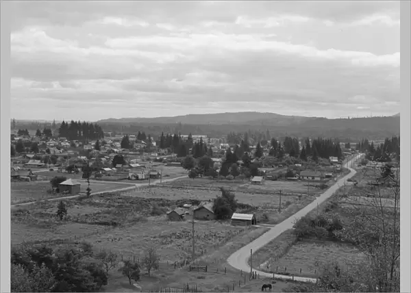 The town of Elma, western Washington - population 1, 545, 1939. Creator: Dorothea Lange