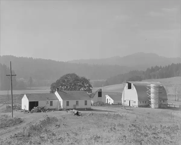 Unit no. 32 of Yamhill farms, Oregon, 1939. Creator: Dorothea Lange