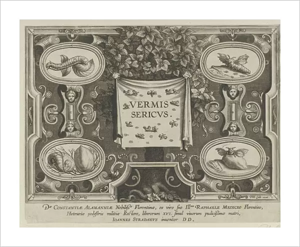 Title Plate from 'The Introduction of the Silkworm'[Vermis Sericus], ca. 1595 Creator: Karel van Mallery