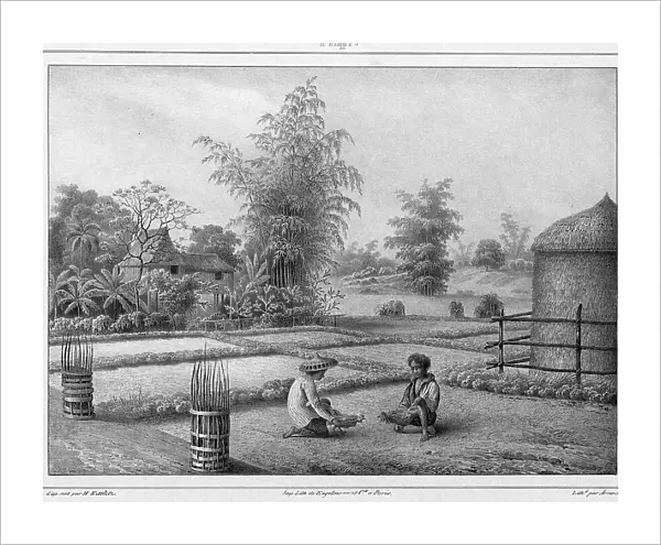 View of the Interior, Luzon Island, Philippines, 19th century. Creators: Friedrich Heinrich Kittlitz, Victor Adam, Godefroy Engelmann