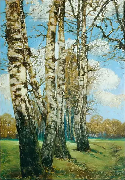 Birch trees, 1907. Creator: Ferdinand Engelmuller