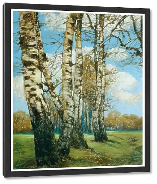 Birch trees, 1907. Creator: Ferdinand Engelmuller