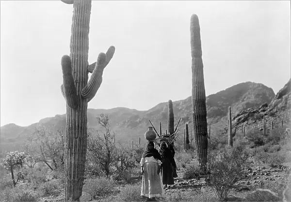 Hasen harvest B-Qahatika. Three women walking through desert, two with kiho carriers and... c1907. Creator: Edward Sheriff Curtis
