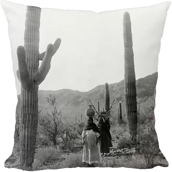 Hasen harvest B-Qahatika. Three women walking through desert, two with kiho carriers and... c1907. Creator: Edward Sheriff Curtis