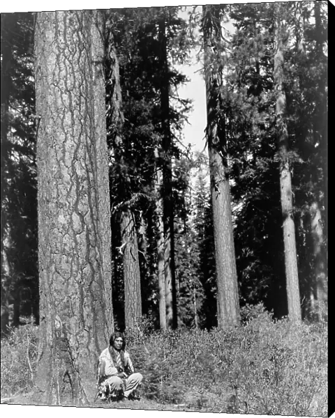 In the forest-Klamath, c1923. Creator: Edward Sheriff Curtis