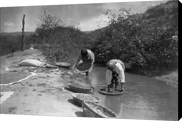 Washing wheat-San Juan, c1905. Creator: Edward Sheriff Curtis
