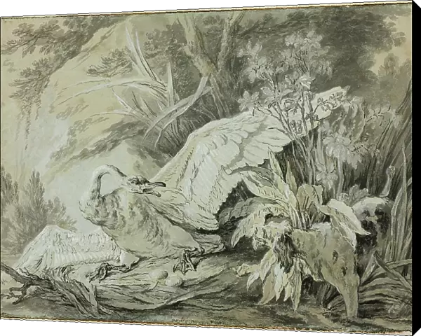 A Wild Swan Attacked by a Dog, c. 1740. Creator: Jean-Baptiste Oudry