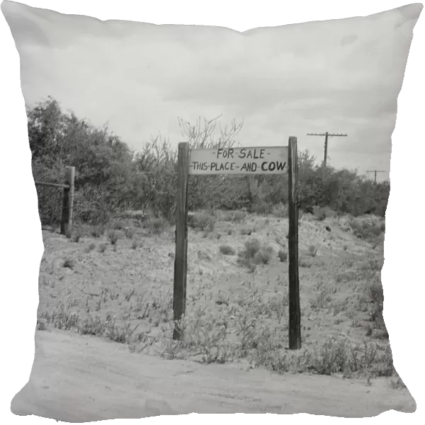 Sign near Saint David, Arizona, 1937. Creator: Dorothea Lange