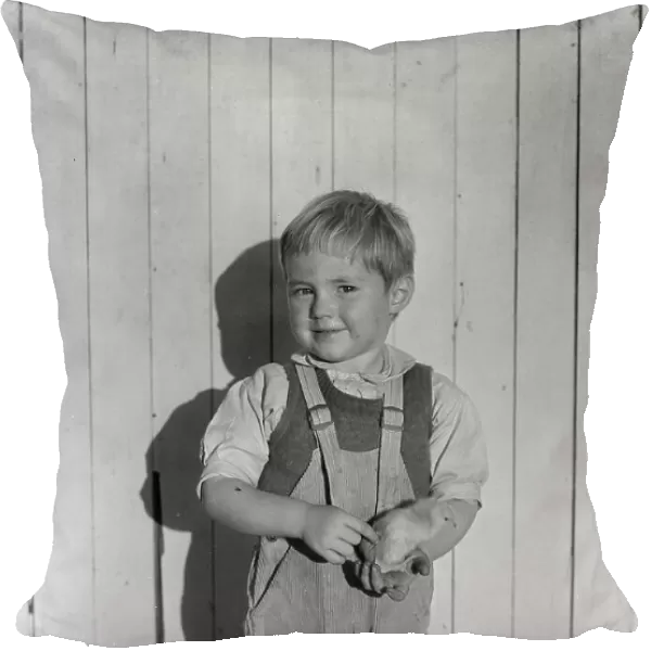 Youngest child of four of rural rehabilitation client, Near San Fernando, California, 1935. Creator: Dorothea Lange