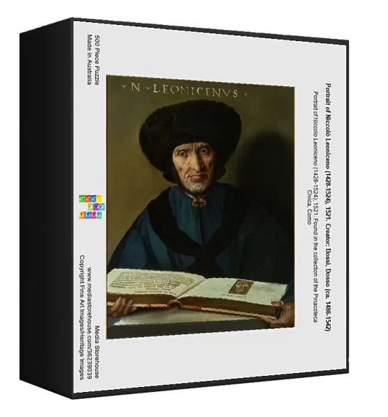Portrait of Niccolò Leoniceno (1428-1524), 1521. Creator: Dossi, Dosso (ca. 1486-1542)