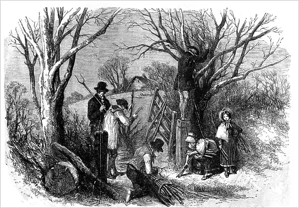 Cutting the Ashen Fagots; Devonshire, 1854. Creator: Edmund Evans