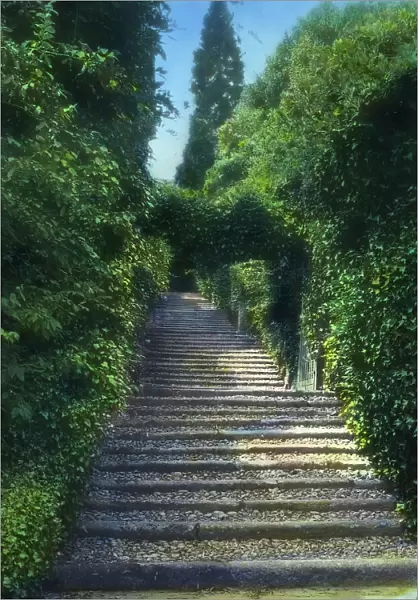Botanical Garden, Isola Madre, Lake Maggiore, Piedmont, Italy, 1925. Creator: Frances Benjamin Johnston