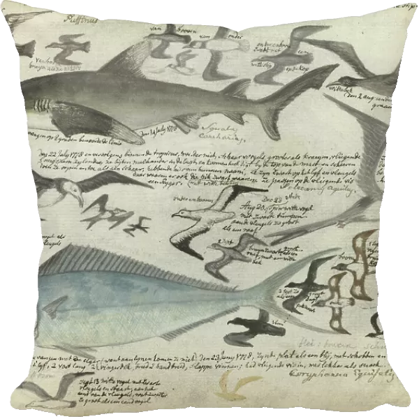 Sea birds and sea fish, 1778-1779. Creator: Jan Brandes