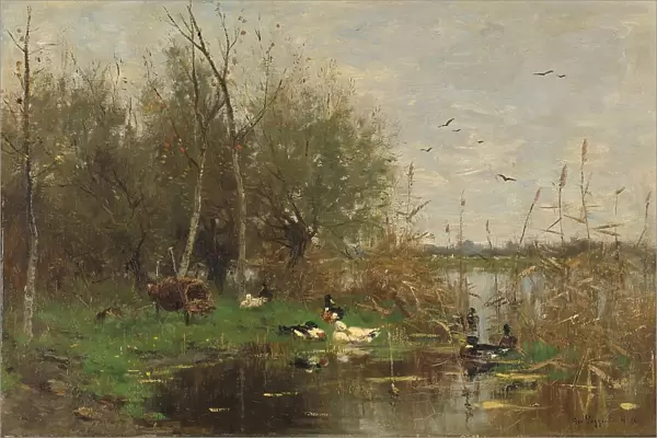 Ducks beside a duck shelter on a ditch, 1884. Creator: George Poggenbeek