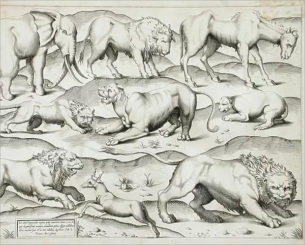 Sheet of Animals, 1547. Creators: Antonio Lafreri, Enea Vico