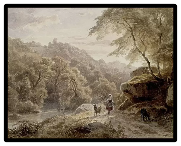 Woodland and River Scene, 19th century. Creator: Unknown
