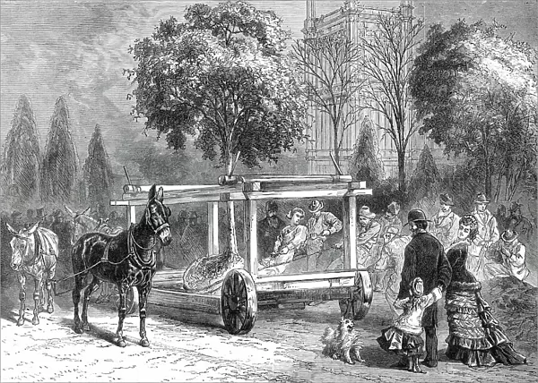 The American Centennial Exhibition at Philadelphia: transplanting trees in the grounds, 1876. Creator: Unknown