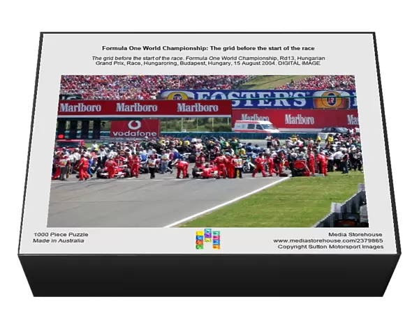 Formula One World Championship: The grid before the start of the race