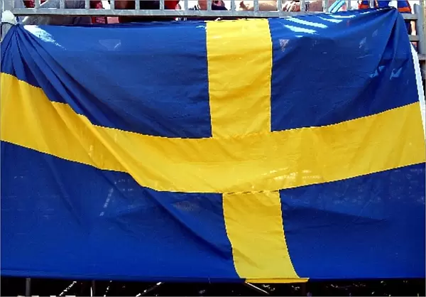 Formula One World Championship: Swedish fans