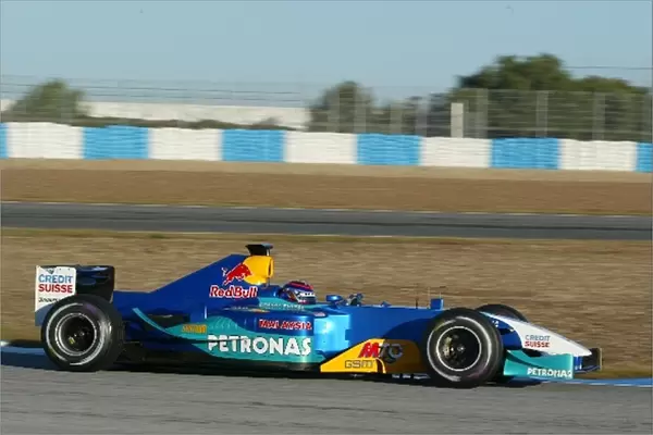 Formula One Testing: Neel Jani Sauber: Formula One Testing, Jerez, Spain, 9-11 December 2003