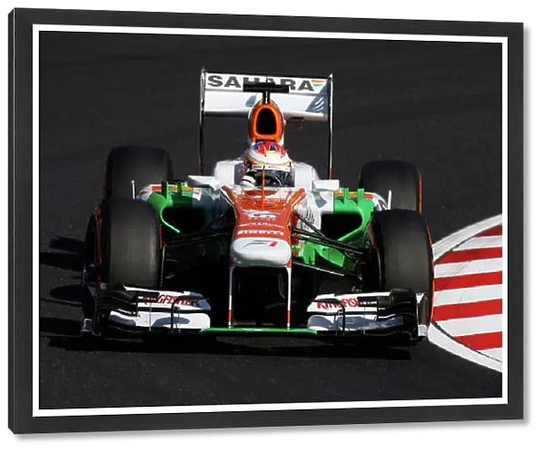 2013 Japanese Grand Prix - Friday