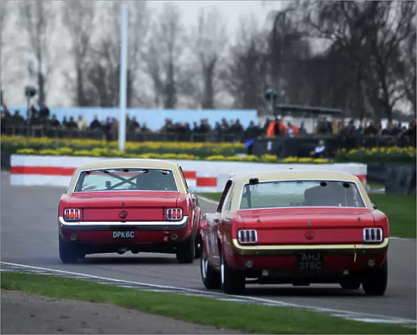 2017 75th Members Meeting Goodwood Estate, West Sussex, England 18th - 19th March 2017 Pierpoint Cup Soper Davies Mustang World Copyright : Jeff Bloxham / LAT Images Ref : Digital Image
