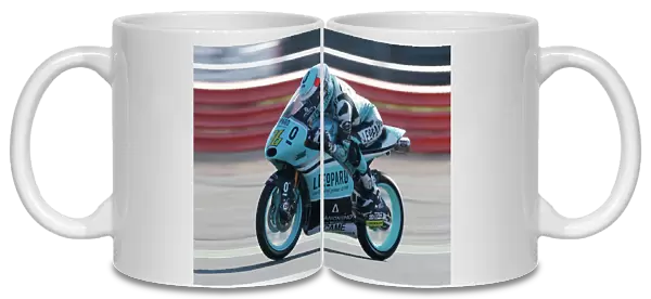 2015 Moto3 Championship