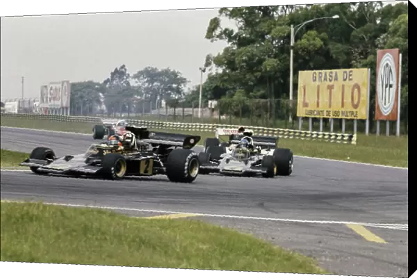 1973 Argentinian GP