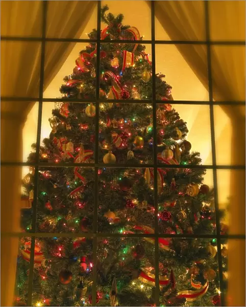Looking At Indoor Christmas Tree Through Window