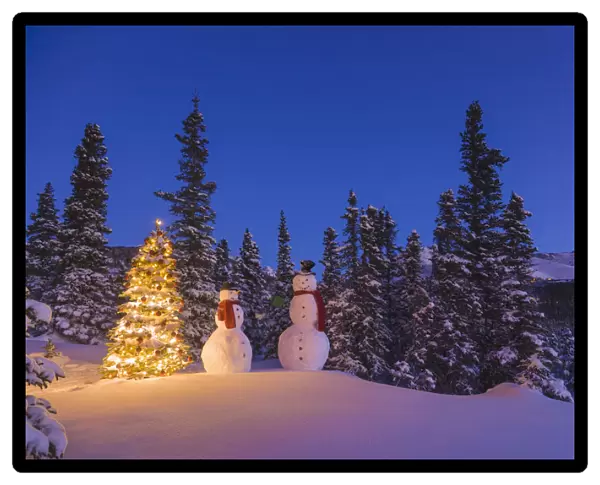Two Snowmen Exchanging Gifts Standing Next To A Christmas Tree In Front Of A Snowcovered Spruce Forest At Twilight; Anchorage Alaska Usa