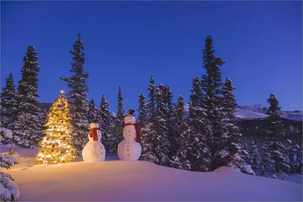 Two Snowmen Exchanging Gifts Standing Next To A Christmas Tree In Front Of A Snowcovered Spruce Forest At Twilight; Anchorage Alaska Usa