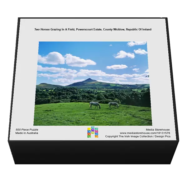 Two Horses Grazing In A Field, Powerscourt Estate, County Wicklow, Republic Of Ireland