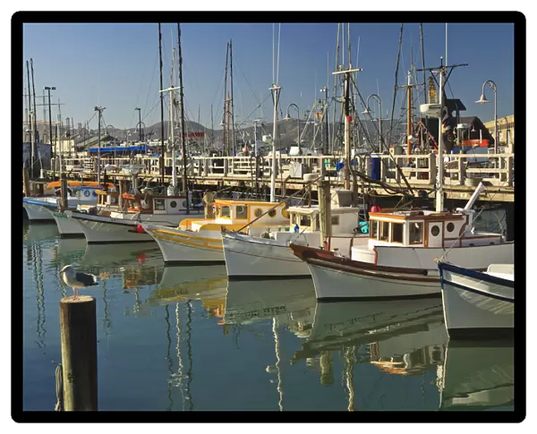 Fishermens Terminal; San Francisco California United States Of America