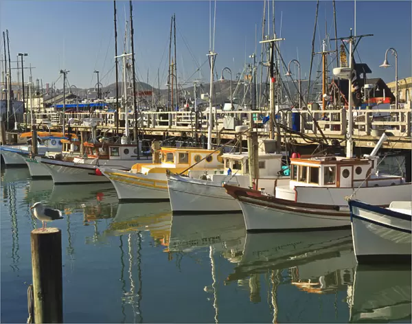 Fishermens Terminal; San Francisco California United States Of America