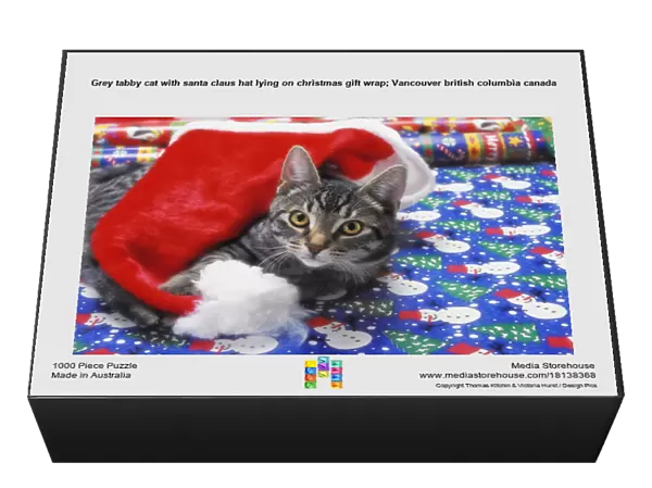 Grey tabby cat with santa claus hat lying on christmas gift wrap; Vancouver british columbia canada