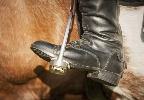 Close Up Of A Riding Boot In Stirrups In Baltimore County; Maryland, United States Of America