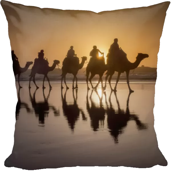 Sunset Camel Trek On The Beach; Essaouira, Morocco