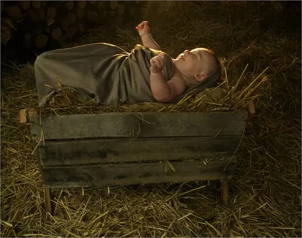 Baby Jesus In The Manger