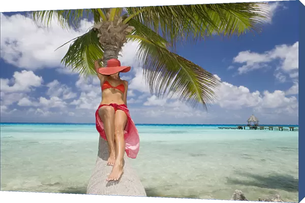 French Polynesia, Tahiti, Woman Relaxing On Palm Tree Trunk Overhanging Tropical Ocean