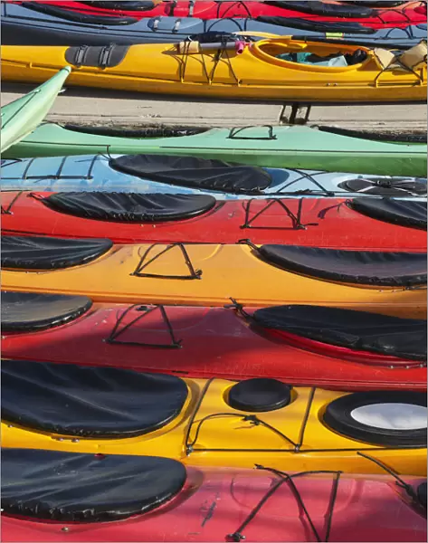 Multi-Coloured Kayaks Together At Boat Dock, Prince William Sound; Valdez, Alaska, United States Of America