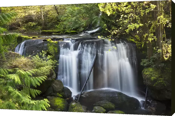 View Of Whatcom Falls Near Bellingham, Washington, USA, Summer