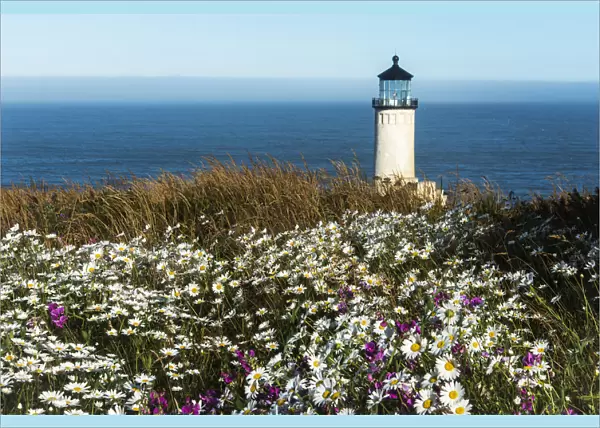 Flowers Bloom Near North Head Lighthouse On The Washington Coast; Washington, United States Of America