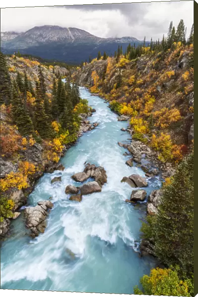The Tutshi River Canyon As Seen From The Suspension Bridge, British Columbia, Canada, Fall