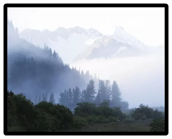 Early Morning Fog In South-Central Alaska; Alaska, United States Of America