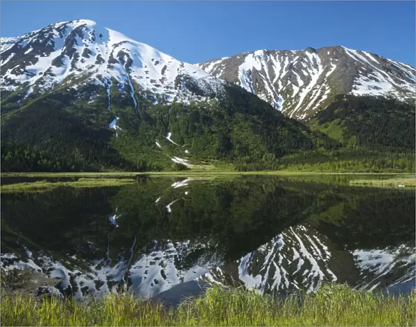 Tern Lake, Tern Lake Junction At Mile 37 Seward Highway; Alaska, United States Of America