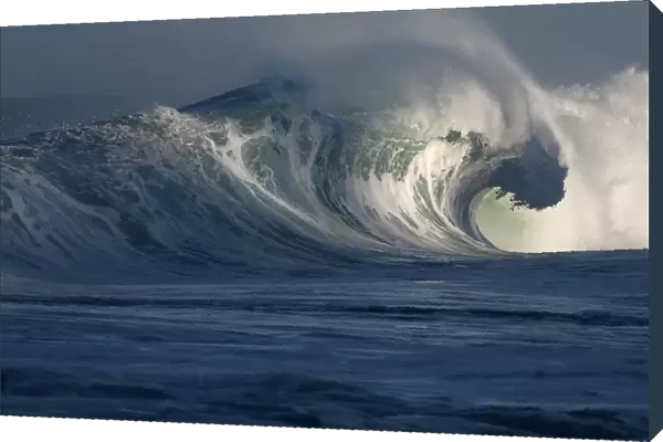 Breaking Wave; Hawaii, United States Of America
