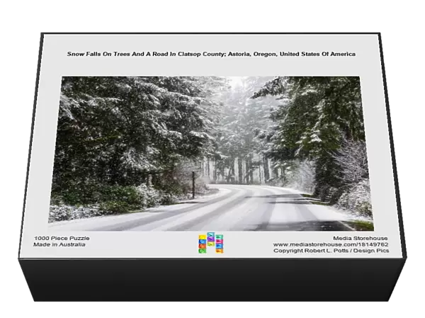 Snow Falls On Trees And A Road In Clatsop County; Astoria, Oregon, United States Of America